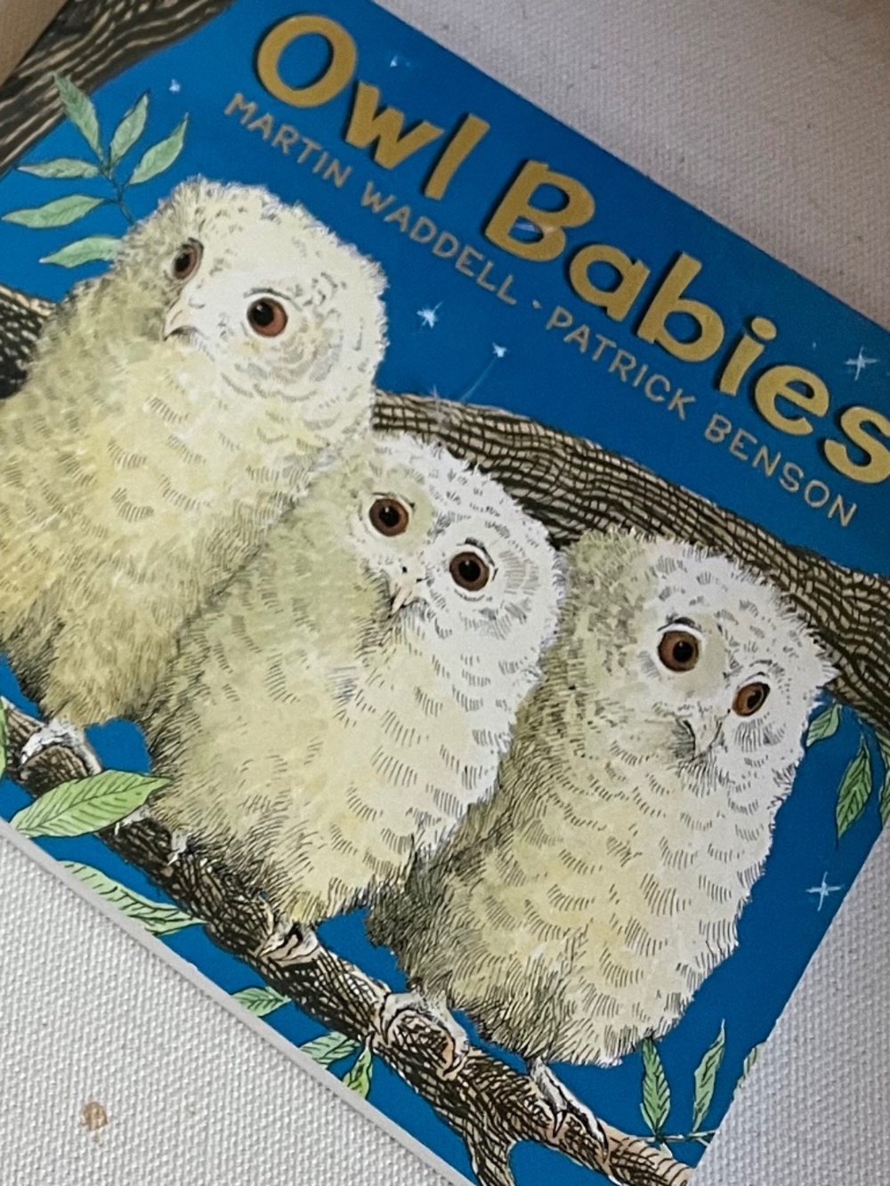 Owl Babies by Martin Waddell and Patrick Benson - Set of 2 Children's Books - Picture 4 of 8